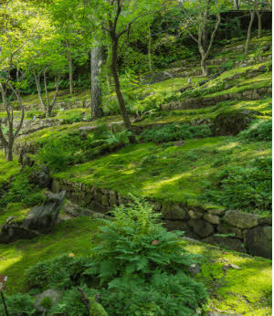 화담숲 추천 이유