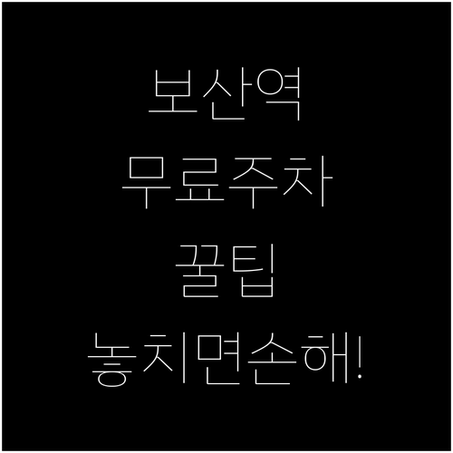 동두천 보산역 주변 주차장 현황 및 ..