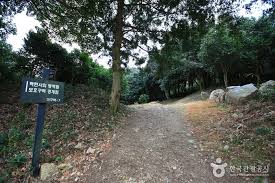 강진 백련사 동백축제 기본일정과 프로그램 소개