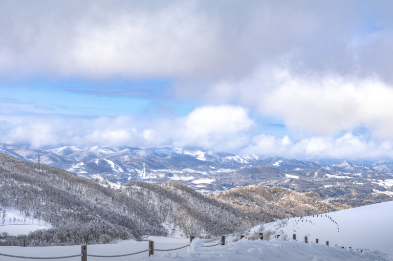 생방송투데이 대관령하늘목장 강원도 평창
