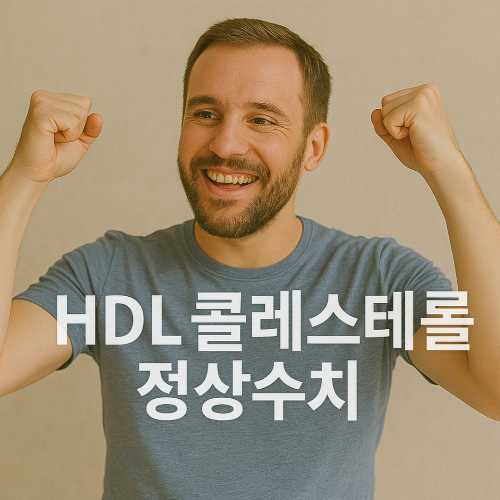 hdl 콜레스테롤 이란, 정상수치 (+ hdl콜레스테롤 높이는 방법)
