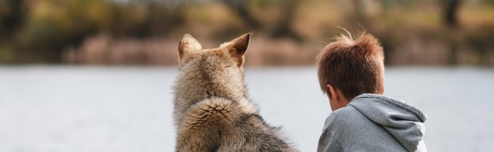 소년과 개가 나란히 앉아 있는 뒷모습을 찍은 사진