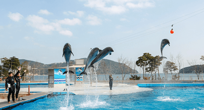 거제씨월드 이미지