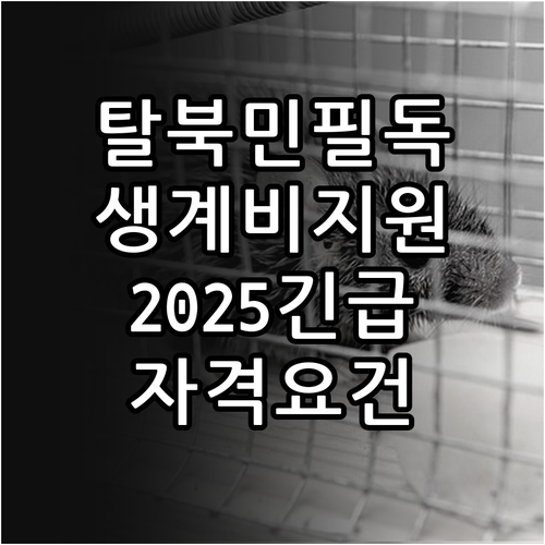 북한이탈주민 필독 2025 긴급 생계..