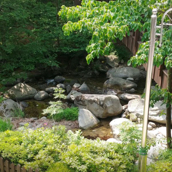 대관령자연휴양림