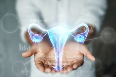 자궁암 4기 생존율