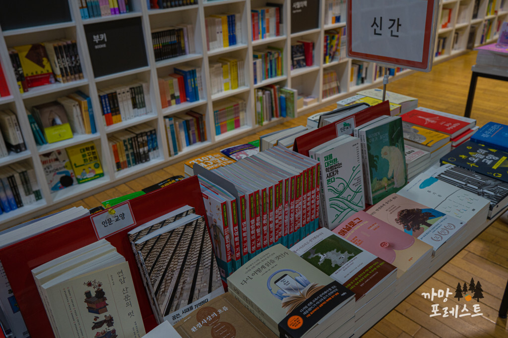 파주 지혜의 숲 내부