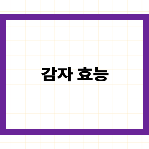 감자 효능과 부작용 —
칼륨·클로로겐산의 과학적 근거와
싹난 감자 독성 주의사항 완벽 정리